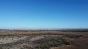 Abilene, TX 79601
