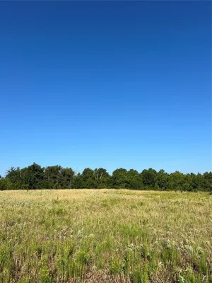 Tyler, TX 75706