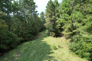 Garrison, TX 75946