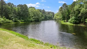 Winnsboro, TX 75494