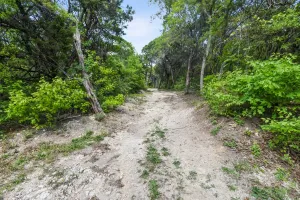 Cedar Hill, TX 75104