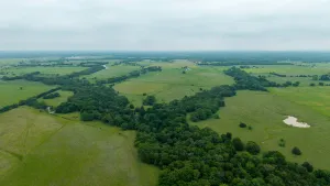Whitesboro, TX 76273