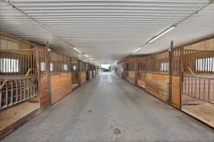 Tioga, TX 76271