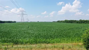 Whitewright, TX 75491