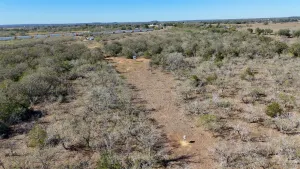Gonzales, TX 78632