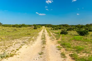 No City, TX 76827