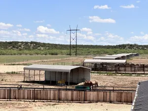 Bronte, TX 76933