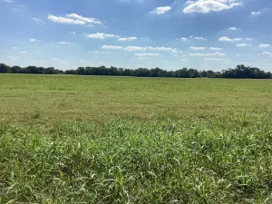 Dawson, TX 76639
