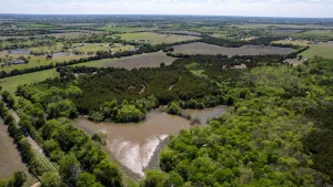 Blue Ridge, TX 75424