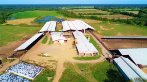 Winnsboro, TX 75494