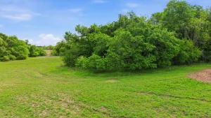 Azle, TX 76020