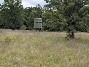 Bowie, TX 76230