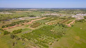 Stephenville, TX 76401
