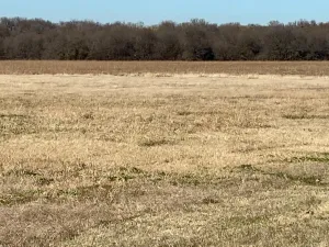 Gunter, TX 75058