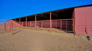 Petrolia, TX 76377