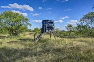 Brookesmith, TX 76827