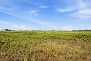 Greenville, TX 75402