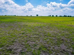 Covington, TX 76636