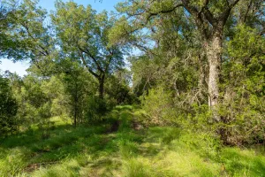 No City, TX 76827