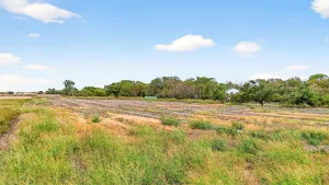 Gunter, TX 75058