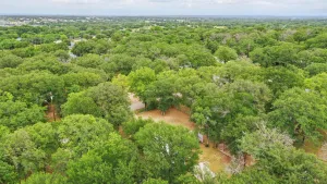 Azle, TX 76020