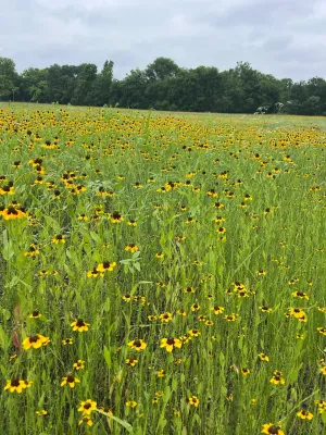 Honey Grove, TX 75446
