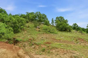 Bowie, TX 76230