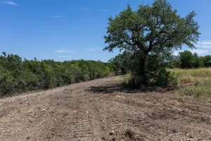 Weatherford, TX 76087