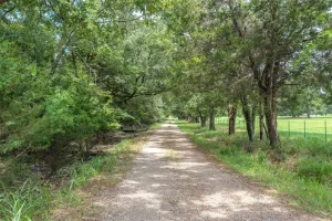 Yantis, TX 75497