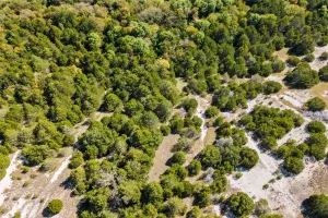 Cedar Hill, TX 75104