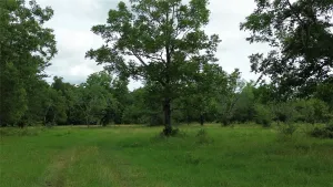 Kerens, TX 75144