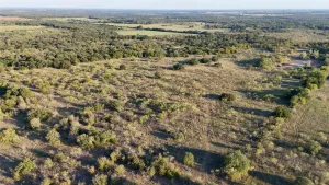 Gorman, TX 76454