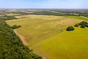 Bonham, TX 75418