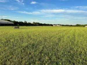 Mc Kinney, TX 75071
