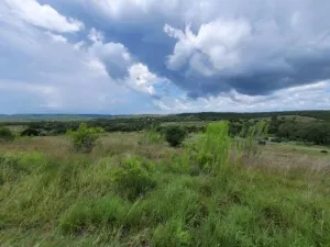 Marble Falls, TX 78654
