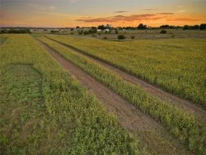 Clifton, TX 76634