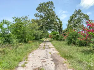 Edgewood, TX 75117