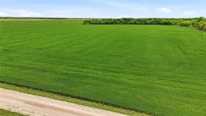 Whitesboro, TX 76273