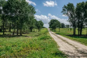 Mexia, TX 76667