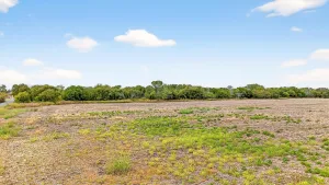 Gunter, TX 75058