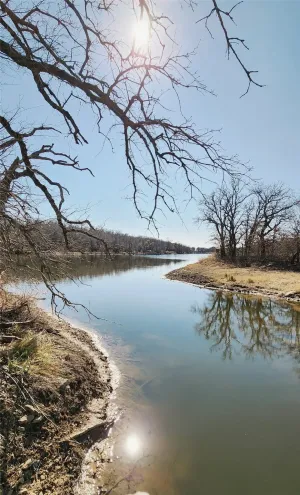 Gorman, TX 76454