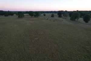Henderson, TX 75654