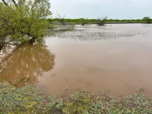 Bellevue, TX 76228