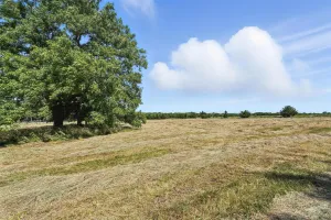 Farmersville, TX 75442