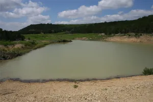 Strawn, TX 76475