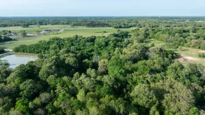 Athens, TX 75751