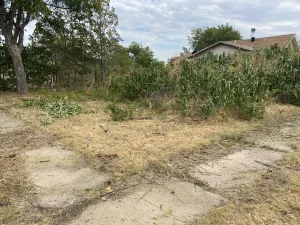 Coleman, TX 76834