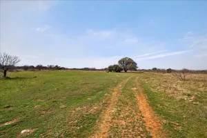 Graford, TX 76449
