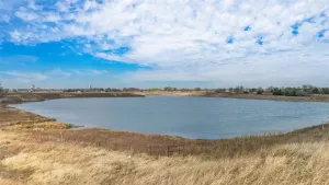 Greenville, TX 75401