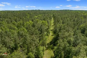 Princeton, LA 71067